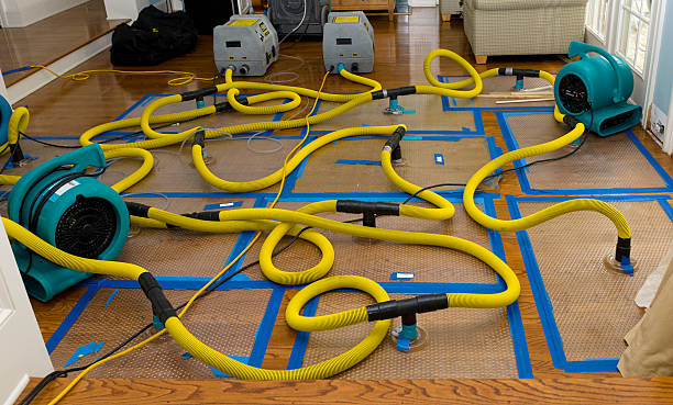 Professional Sewage Cleanup technician working in Avon, IN